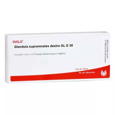 GLANDULA SUPRARENALES dextra GL D 30 ampuliek, 10X1 ml GLANDULA SUPRARENALES dextra GL D 30 ampuliek, 10X1 ml