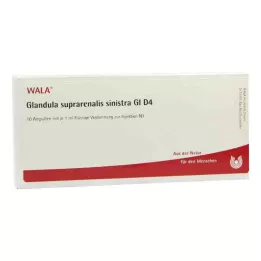 GLANDULA SUPRARENALIS sinistra GL D 4 ampulky, 10X1 ml