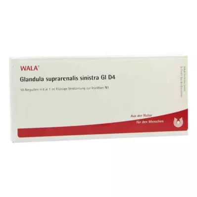 GLANDULA SUPRARENALIS sinistra GL D 4 ampulky, 10X1 ml GLANDULA SUPRARENALIS sinistra GL D 4 ampulky, 10X1 ml