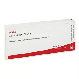 GYRUS cinguli GL D 12 ampuliek, 10X1 ml