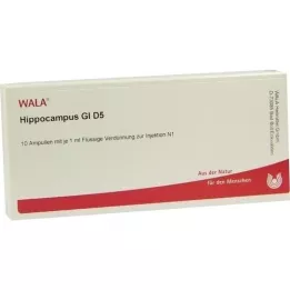 HIPPOCAMPUS GL D 5 ampuliek, 10X1 ml