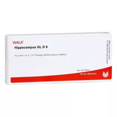 HIPPOCAMPUS GL D 6 ampuliek, 10X1 ml