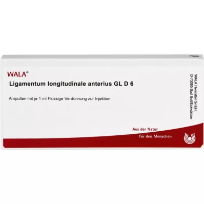LIGAMENTUM LONGITUDINALE anterius GL D 6 ampuliek, 10X1 ml