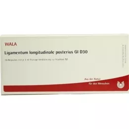 LIGAMENTUM LONGITUDINALE posterius GL D 30 amp, 10X1 ml