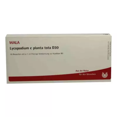 LYCOPODIUM E planta tota D 30 ampuliek, 10X1 ml LYCOPODIUM E planta tota D 30 ampuliek, 10X1 ml