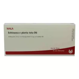 ECHINACEA E planta tota D 6 ampuliek, 10X1 ml