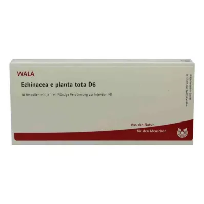 ECHINACEA E planta tota D 6 ampuliek, 10X1 ml ECHINACEA E planta tota D 6 ampuliek, 10X1 ml