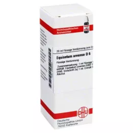 EQUISETUM ARVENSE D 6 riedenie, 20 ml