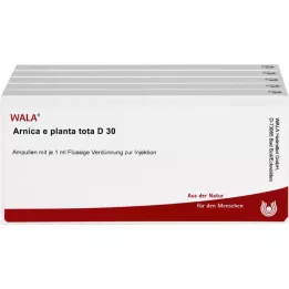 ARNICA E Planta tota D 30 ampuliek, 50X1 ml