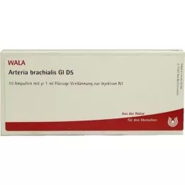 ARTERIA BRACHIALIS GL D 5 ampuliek, 10X1 ml