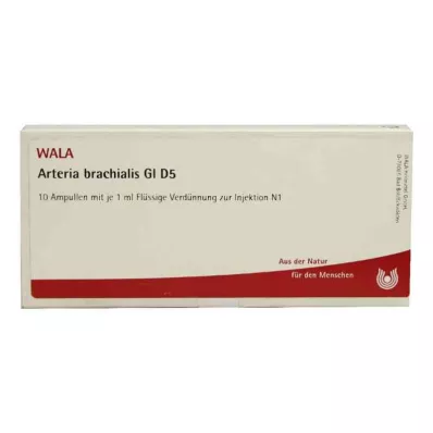 ARTERIA BRACHIALIS GL D 5 ampuliek, 10X1 ml ARTERIA BRACHIALIS GL D 5 ampuliek, 10X1 ml