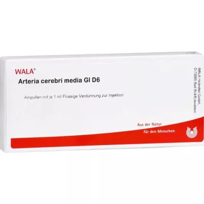 ARTERIA CEREBRI médium GL D 6 ampuliek, 10X1 ml ARTERIA CEREBRI médium GL D 6 ampuliek, 10X1 ml