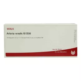 ARTERIA RENALIS GL D 30 ampuliek, 10X1 ml