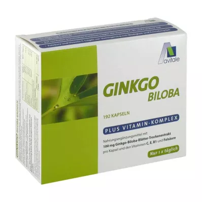 GINKGO 100 mg kapsuly+B1+C+E, 192 ks