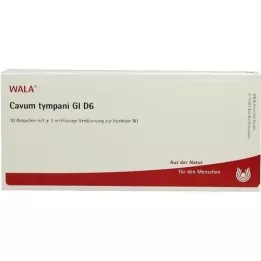 CAVUM tympani GL D 6 ampuliek, 10X1 ml