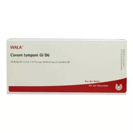 CAVUM tympani GL D 6 ampuliek, 10X1 ml