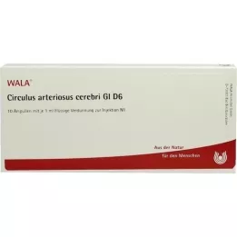 CIRCULUS arteriosus cerebri GL D 6 ampuliek, 10X1 ml