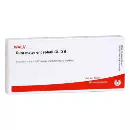 DURA MATER encephali GL D 6 ampuliek, 10X1 ml