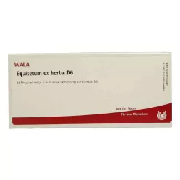 EQUISETUM EX Herba D 6 ampuliek, 10X1 ml