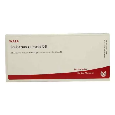 EQUISETUM EX Herba D 6 ampuliek, 10X1 ml EQUISETUM EX Herba D 6 ampuliek, 10X1 ml