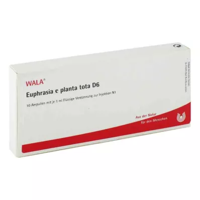 EUPHRASIA E planta tota D 6 ampuliek, 10X1 ml EUPHRASIA E planta tota D 6 ampuliek, 10X1 ml