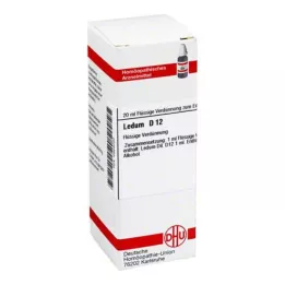 LEDUM D 12 riedenie, 20 ml