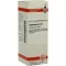LYCOPODIUM C 30 riedenie, 20 ml