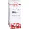 MAGNESIUM CARBONICUM D 6 riedenie, 20 ml