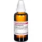 RHODODENDRON D 6 riedenie, 50 ml