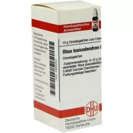 RHUS TOXICODENDRON D 200 globúl, 10 g