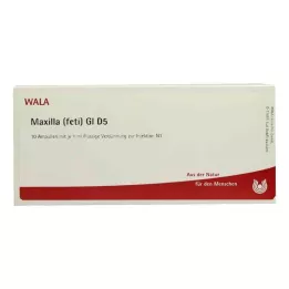 MAXILLA feti GL D 5 ampuliek, 10X1 ml