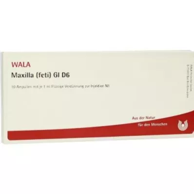 MAXILLA feti GL D 6 ampuliek, 10X1 ml MAXILLA feti GL D 6 ampuliek, 10X1 ml
