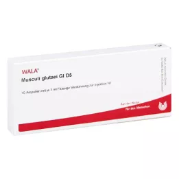 MUSCULI GLUTAEI GL D 5 ampuliek, 10X1 ml