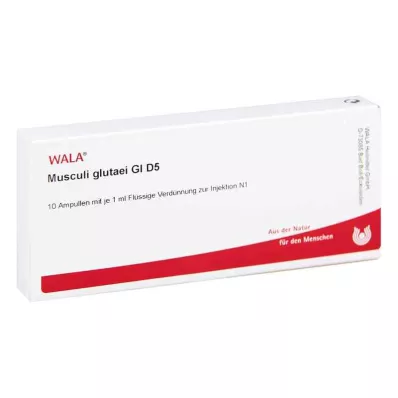 MUSCULI GLUTAEI GL D 5 ampuliek, 10X1 ml MUSCULI GLUTAEI GL D 5 ampuliek, 10X1 ml