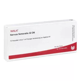 NERVUS FEMORALIS GL D 6 ampuliek, 10X1 ml
