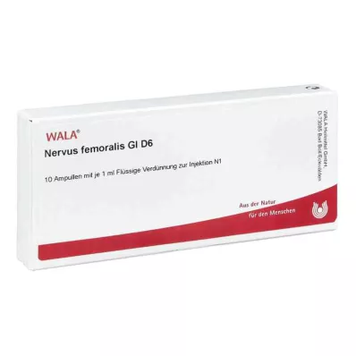 NERVUS FEMORALIS GL D 6 ampuliek, 10X1 ml NERVUS FEMORALIS GL D 6 ampuliek, 10X1 ml