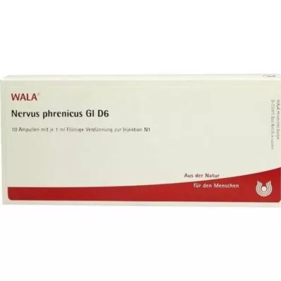 NERVUS PHRENICUS GL D 6 ampuliek, 10X1 ml NERVUS PHRENICUS GL D 6 ampuliek, 10X1 ml