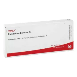 PULSATILLA E floribus D 4 ampulky, 10X1 ml