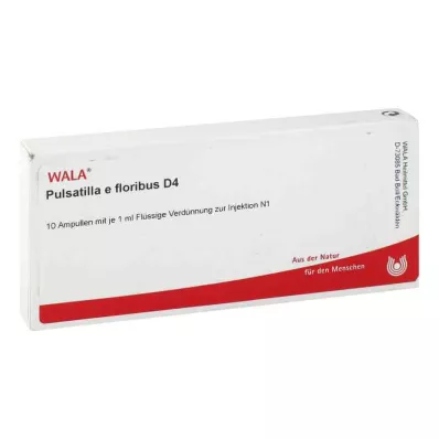 PULSATILLA E floribus D 4 ampulky, 10X1 ml PULSATILLA E floribus D 4 ampulky, 10X1 ml