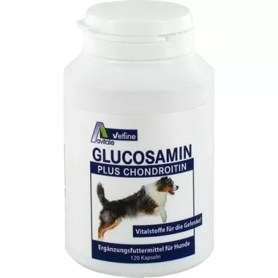 GLUCOSAMIN+CHONDROITIN Kapsule pre psov, 120 ks