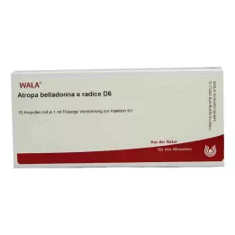 ATROPA Belladonna e Radix D 6 ampuliek, 10X1 ml