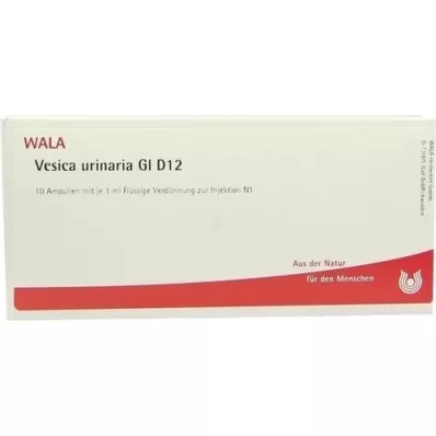 VESICA URINARIA GL D 12 ampuliek, 10X1 ml