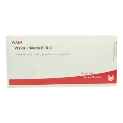 Ampulky Vesica Urinaria Gl D12 (10x1 ml) Ampulky Vesica Urinaria Gl D12 (10x1 ml)