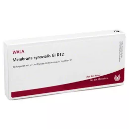MEMBRANA synovialis GL D 12 ampuliek, 10X1 ml