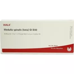 MEDULLA SPINALIS tota GL D 30 ampuliek, 10X1 ml