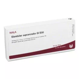 GLANDULAE SUPRARENALES GL D 30 ampuliek, 10X1 ml