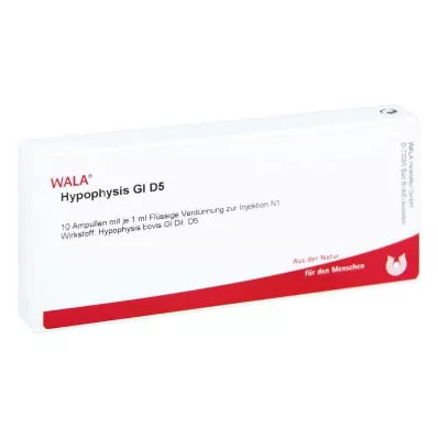 HYPOPHYSIS GL D 5 ampuliek, 10X1 ml
