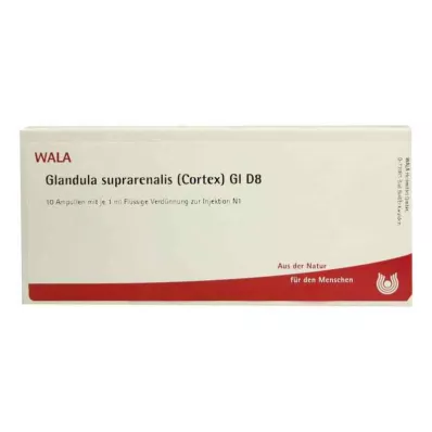 Glandula Surparen.Cort.Gl D8 ampulky (10x1 ml) Glandula Surparen.Cort.Gl D8 ampulky (10x1 ml)