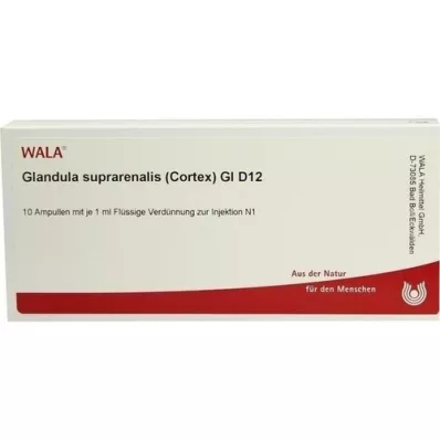 GLANDULA SUPRARENALES cortex GL D 12 ampuliek, 10X1 ml