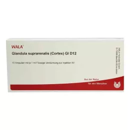 GLANDULA SUPRARENALES cortex GL D 12 ampuliek, 10X1 ml